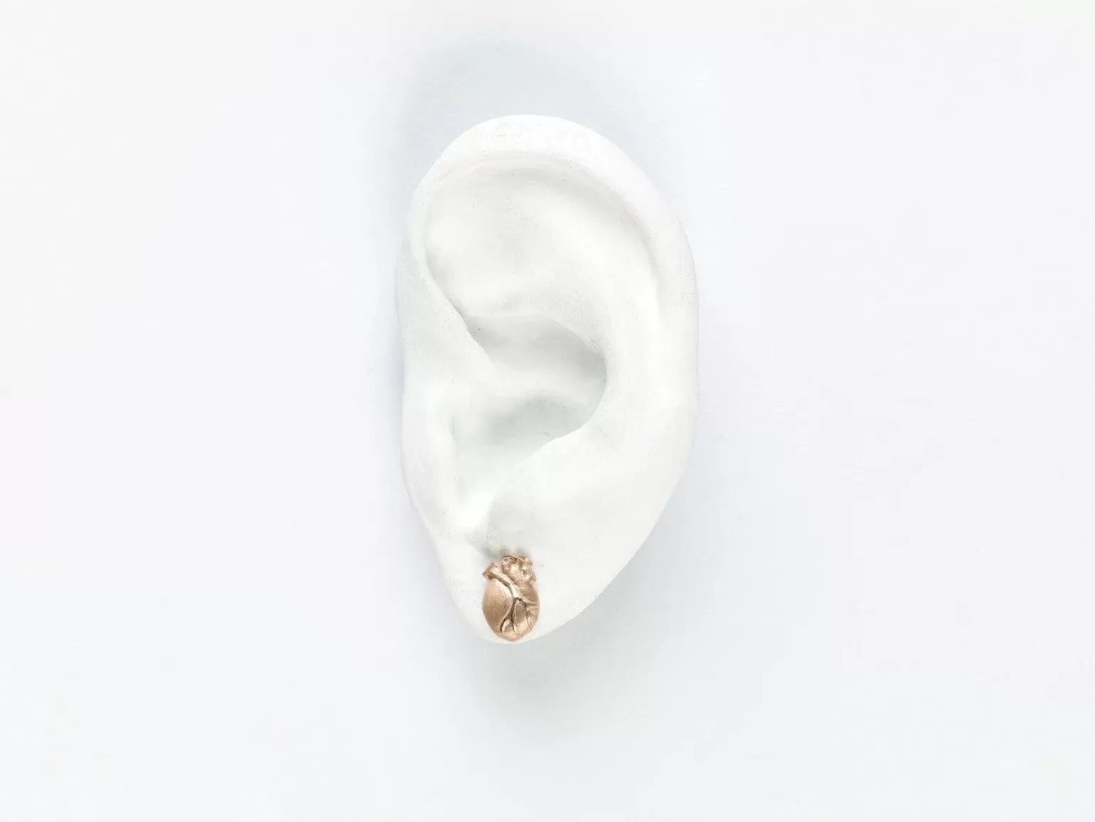 Hot Anatomic Heart Studs Ear Studs